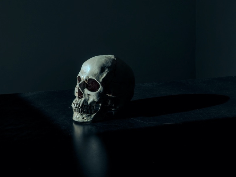 SBC Playlist: The Horror